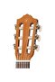 Gl1 Guitalele - 4