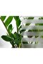 Anti-Scratch Glass Sandblasting Decorative Striped Glass Foil 50 Cm X 1 Meter - 2
