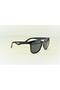 22202 Model Polarized Black Sun Lens - 2