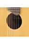 Gl1 Guitalele - 2
