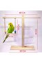 Trendme Swing Bird Playground - 3