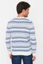 Blue Men's Slim Fit Crew Neck Jacquard Knitwear Sweater TMNAW23KZ00029 - 5