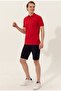 Base. Polo Assn Polo Collar Basic Red Slim Fit Pocketless Men's T-shirt - 4