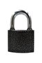 Padlock-casting-40mm - 5