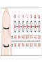 Men's Breast and Abdominal Strengthening Body Shaping Grifle Corset - 3
