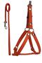 Walking Transport Strap for Small Dogs and Cats - Chest Collar