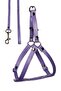 Walking Transport Strap for Small Dogs and Cats - Chest Collar