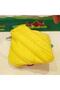 Animals Mini Pouch Sarı - 3