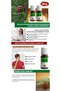 Pine Turpentine 50 ml - 6