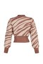 Gül Kurusu Zebra Desenli Crop Triko Kazak TWOAW21KZ0010 - 6