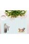 Tom And Jerry Striped Fabric American Service Set of 4 35x50cm- Warner Bros Licensed Product, Linen Fabric - 2