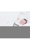 Gray Velvet Owl Pillow and Cherry Seed Carminative - 2