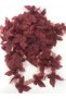 Burgundy Laser Cut Butterfly Ribbon Organza Fabric Artificial Flower 13 Pieces Butterfly – Decorative Ribbon – Decor - 3