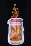 5 Pieces 500 Ml Jar Appearance Thick Ziplock Storage Bag - 3