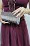 Cross Stone Women's Silver Chain Strap Evening Dress Clutch Portfolio Bag - 4