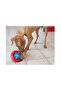 Gyro Award Dog Toy L 17cm - 2