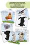 Farm Animals Matching Cards| 8 Pairs| 16 Pieces|cardboard - 3