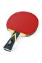 مضرب تنس الطاولة المعتمد من Blast Ittf - 3