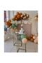 50 Pieces - Safari Themed Balloon Chain Set ( Caramel - Salmon Color - Mold Green Balloon Chrome Gold )