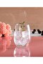 420858 Amber Dessert Presentation Glass 6-Piece