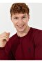 Crew Neck Red Men's Sweater Td01-bsk22 - 2