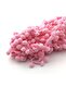 بوم بوم مخطط وردي - (+~5 طن متري)