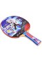مضرب تايتشي Ittf