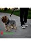Car and Auto Pet Seat Belt - Dog Collar, Mouthpiece and Seat Head Connecting Bracket - 7