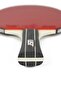 مضرب تنس الطاولة المعتمد من Block ITTF - 6