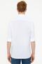 Shirt - 2