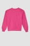 Regular Fit Crew Neck Sweatshirt - 8