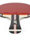 مضرب تنس الطاولة المعتمد من Smash ITTF - 6