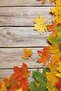 Premium Washable Stain Resistant Thai Feather Velvet Fabric 3D Plane Leaf Tablecloth Mso080 - 2