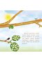 How Silk Forms - Creation Stories - Preschool Book - 6