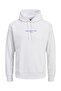 Hooded Logo Sweatshirt