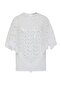 Punto Embroidery and Sequin Detailed Triangle Cut Caped Plus Size Women's Blouse