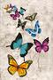 Tablecloth Stain Resistant Thai Feather Velvet Washable Stain Resistant Fabric Butterfly Mso130 - 2