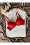 Women's Micro Fabric Padded Underwire Daily Bra - 5