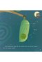 How the Butterfly Forms - Creation Stories - Preschool Book - 7