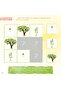 How a Tree Forms - Creation Stories - Preschool Book - 5