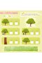 How a Tree Forms - Creation Stories - Preschool Book - 6