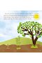 How a Tree Forms - Creation Stories - Preschool Book - 4