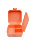 Blue Me Plastic Feeding Bowl with Compartment 1 Lt - 3