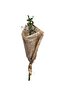 Bambu Şans Bambusu 3lü 80-100cm - 2
