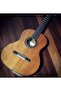 Gitar - 2