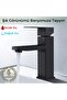 Black Sink Mixer - 3