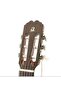 Gitar