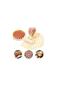 Tart Dough Cutter Dough Cutting Roulette Dough Shaper - 2