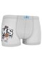 Boy's Boxer Pack of 5 Mixed Color Printed Boxers - 5