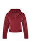 Bordo Selanik/Triko Görünümlü Fermuarlı Yaka Regular/Normal Kalıp Örme Sweatshirt TWOAW22SW0732 - 15